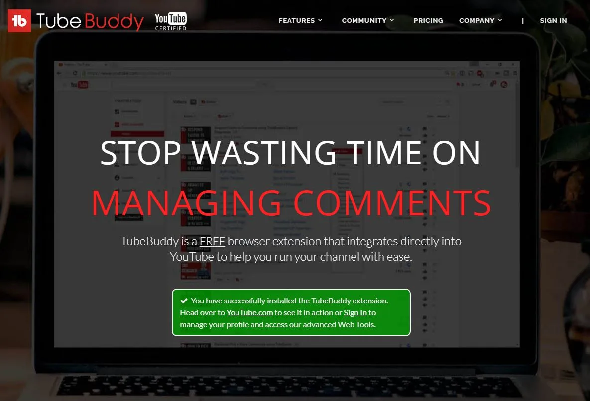 YouTube Ranking - TubeBuddy
