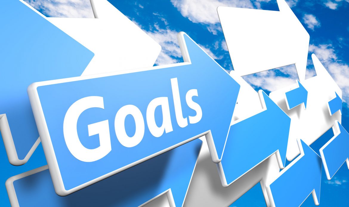 Goals help define customer avatar