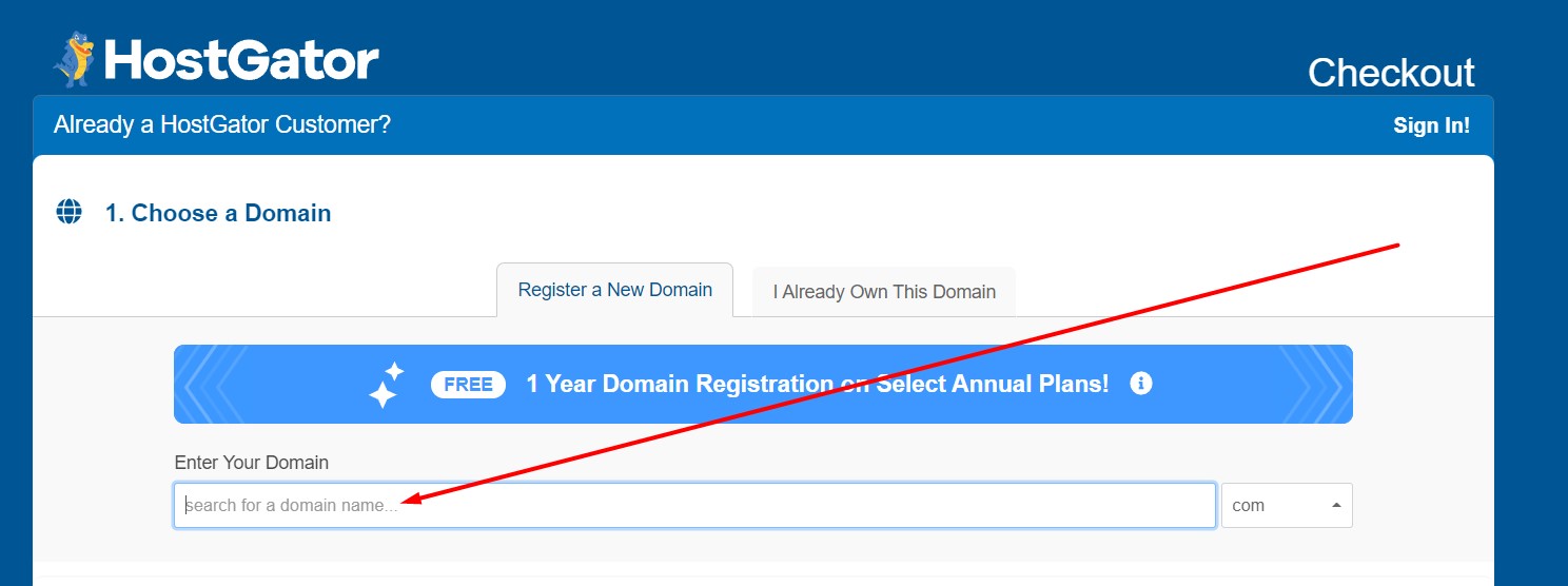 making an affiliate website hosting